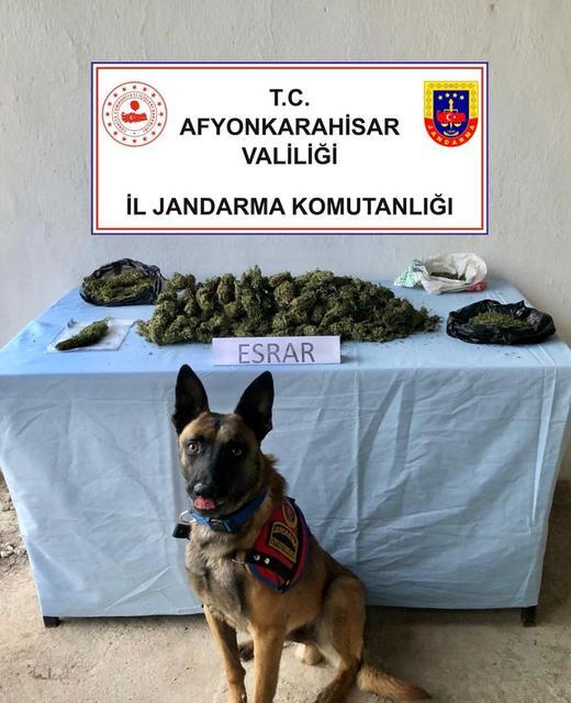 Afyonkarahisar'da uyuşturucu operasyonunda bir kişi yakalandı