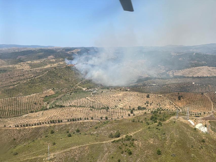 İzmir'de ormanlık alanda yangın