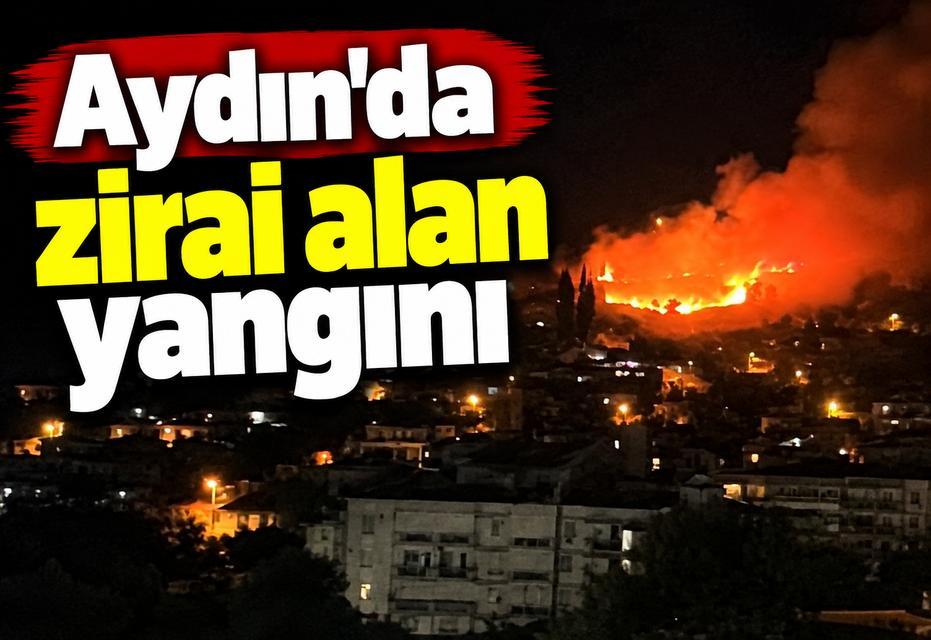 Aydın'da zirai alan yangını