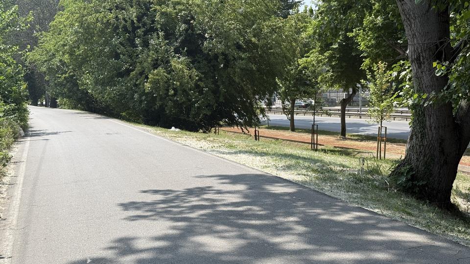Aracında silahla vurulmuş halde ölü bulundu