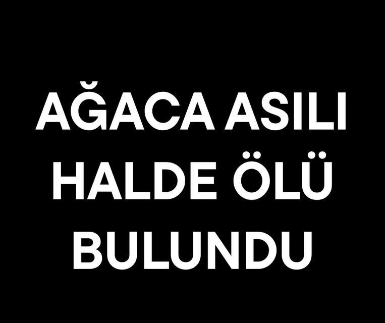 Ağaca asılı halde ölü bulundu
