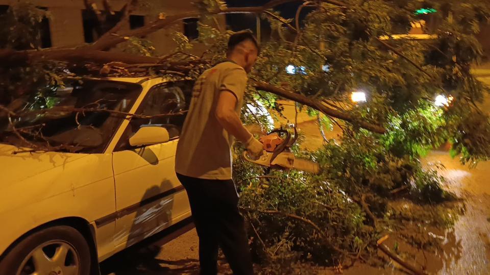 Park halindeki otomobilin üzerine ağaç devrildi