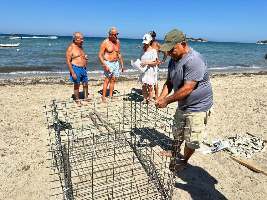 Didim'de caretta carettaların ikinci yuvası bulundu