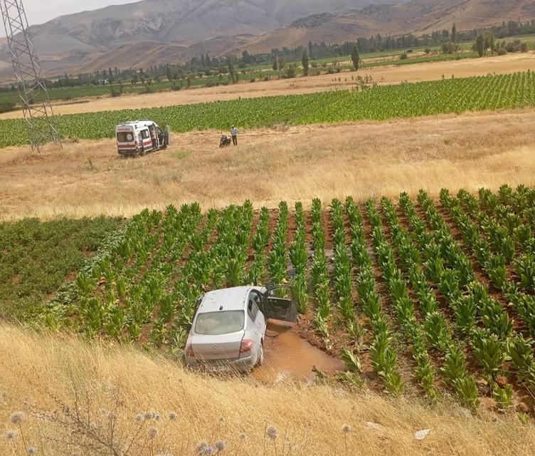 Otomobil tütün tarlasına düştü: 3 yaralı