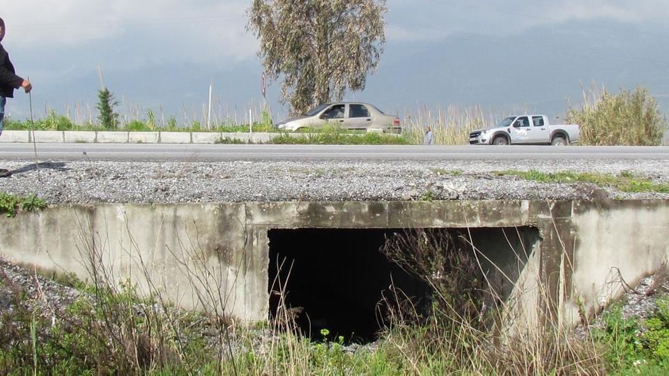GÜNEY EGE TURİZM KARAYOLU YABAN HAYATINI TEHDİT EDİYOR DOĞASEVERLERDEN, EKOLOJİK KÖPRÜ ÇAĞRISI BAŞKAN SÜRÜCÜ: "YOLUN ALTINDAKİ MENFEZLER, EKOLOJİK ALT GEÇİŞ OLARAK DÜZENLENMELİ"
