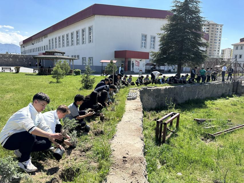 Okul bahçesi lavanta ve güllerle donatıldı