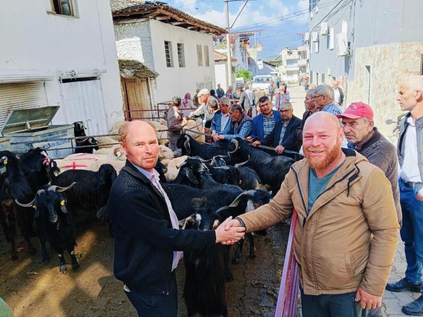 Aydın'da kurban pazarı hareketlendi
