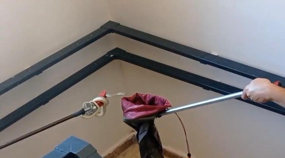 Apartmana giren yılan paniğe neden oldu