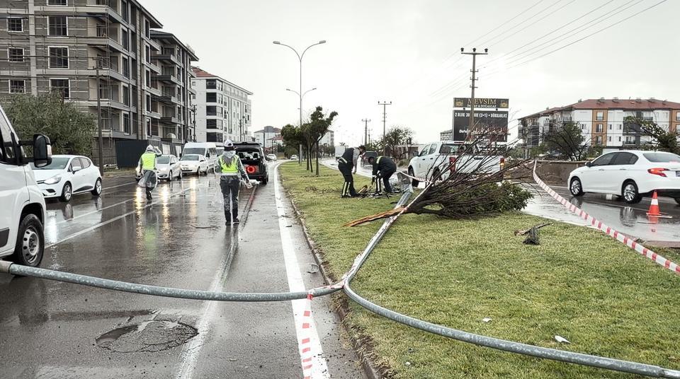 Kontrolden çıkan otomobil önce direği sonra ağacı devirdi