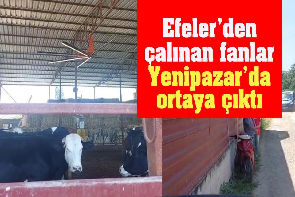 Efeler’den çalınan fanlar Yenipazar’da ortaya çıktı