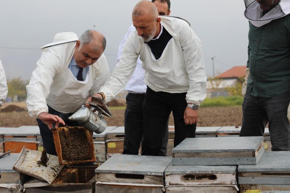 Arı kovanları incelendi