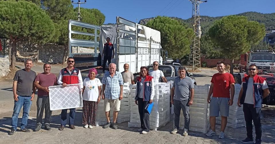Söke’de incir üreticisine yüzde 50 hibeli destek