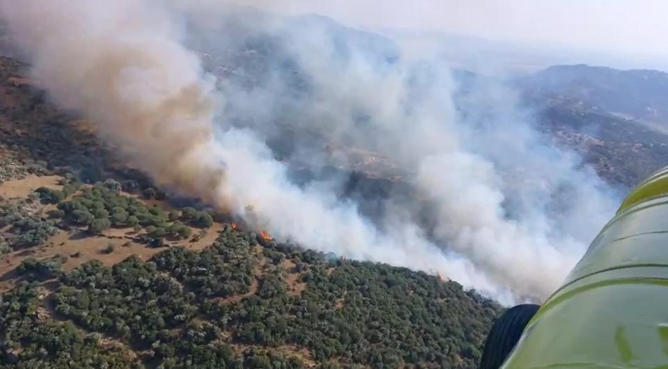 Söke'de 20 hektarlık alanın zarar gördü