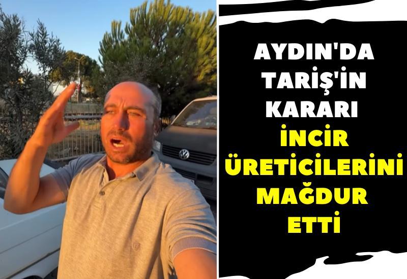 Aydın'da Tariş'in kararı incir üreticilerini mağdur etti