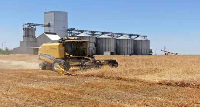 Aydın'da tarımsal üretime dev destek