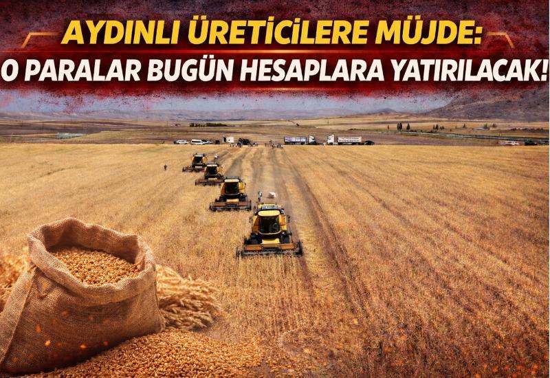 Aydınlı üreticilere müjde: O paralar bugün hesaplara yatırılacak