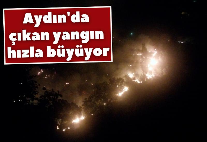 Aydın'da çıkan yangın hızla büyüyor