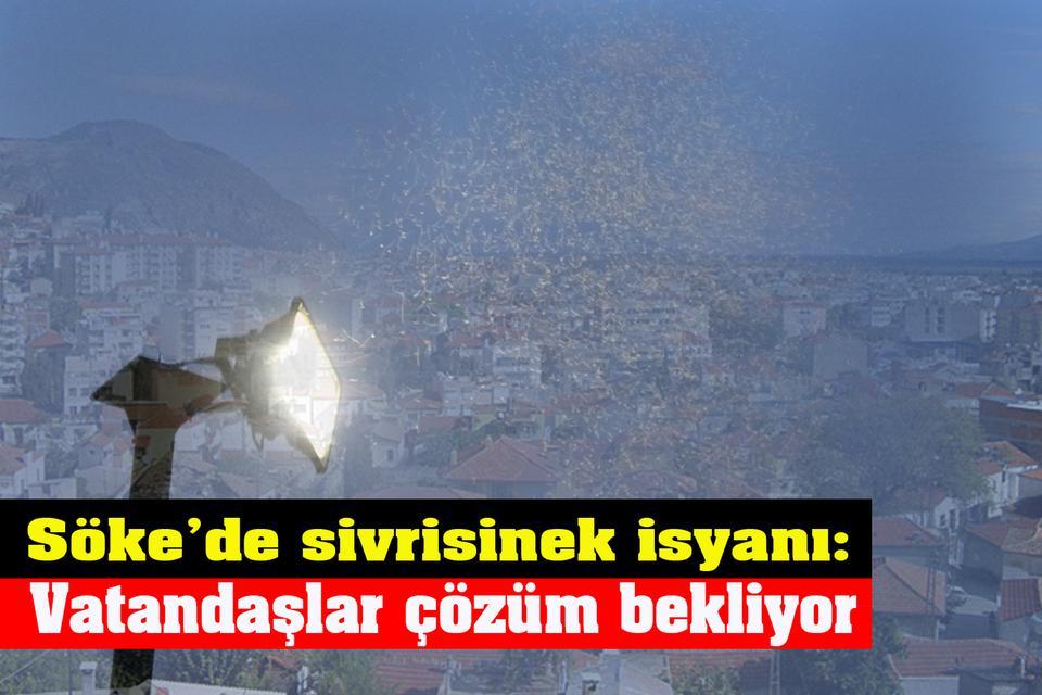 Söke’de sivrisinek isyanı: Vatandaşlar çözüm bekliyor