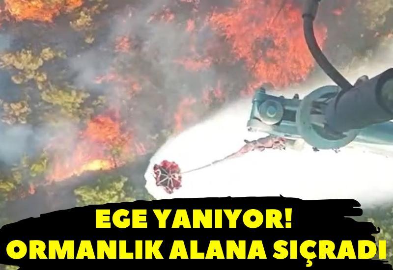 Ege yanıyor! Ormanlık alana sıçradı