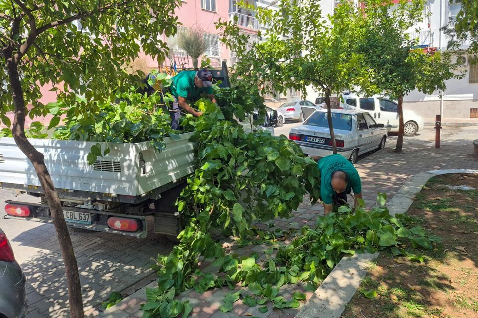 Efeler’de yeşil alanların bakımı aralıksız sürüyor