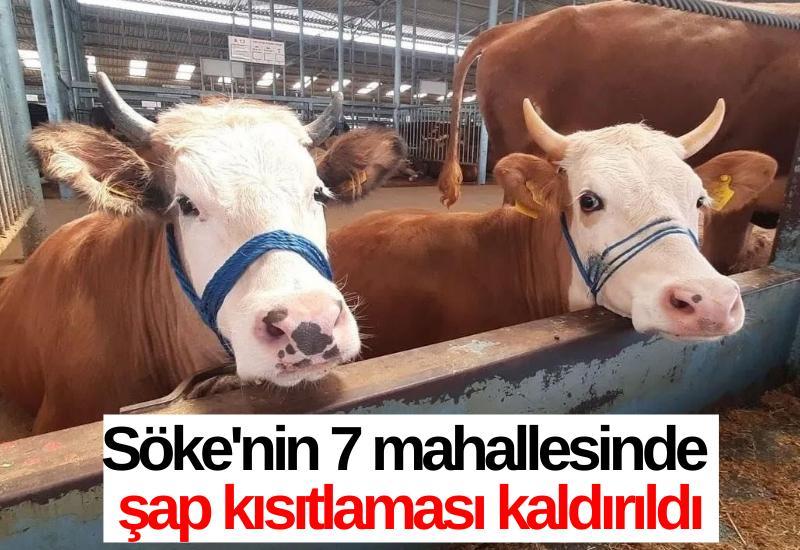 Söke'nin 7 mahallesinde şap kısıtlaması kaldırıldı