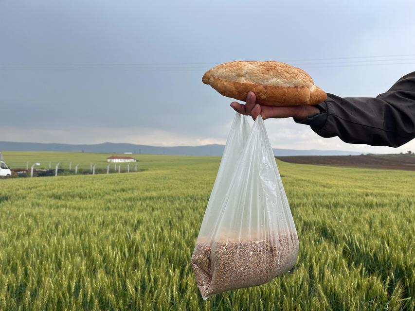 Çiftçinin 1 kilogram buğdayı 1 ekmek etmiyor