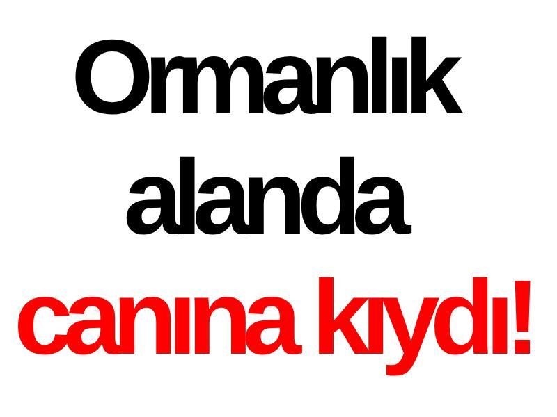Ormanlık alanda canına kıydı!