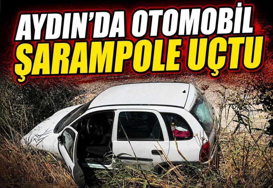 Aydın'da otomobil şarampole uçtu