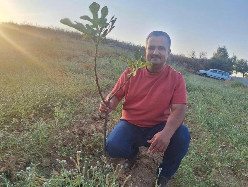 Sarılop incir üretimi yaygınlaşıyor