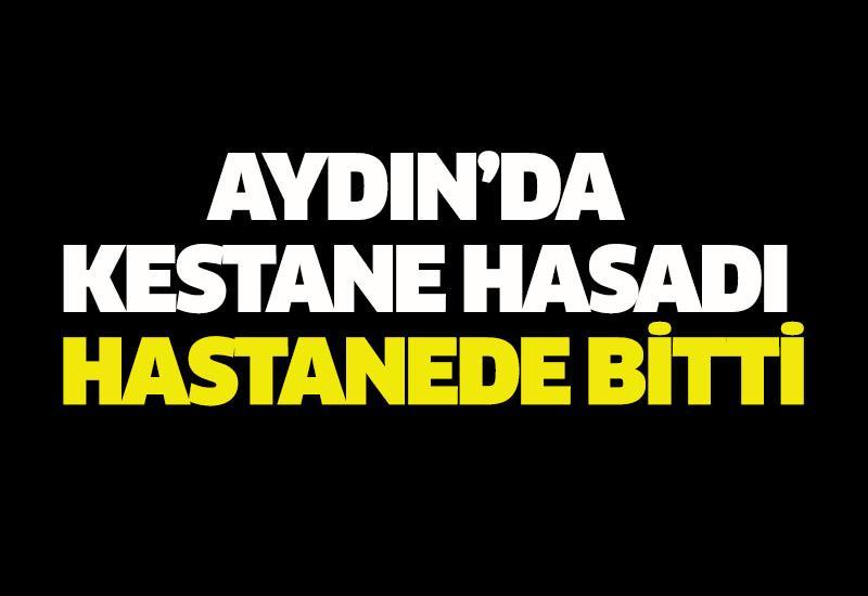 Aydın’da kestane hasadı hastanede bitti