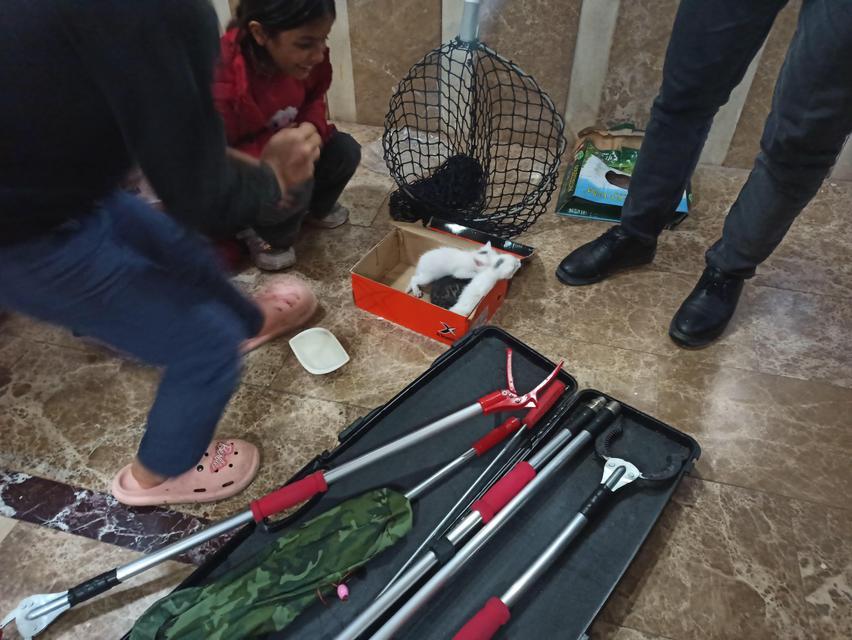 HAVALANDIRMA BOŞLUĞUNA GİREN YAVRU KEDİLER KURTARILDI ÇOCUKLARIN YAVRU KEDİ SEVİNCİ