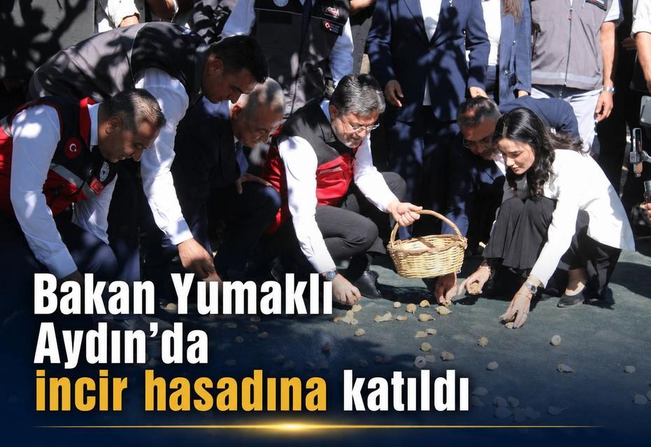 Bakan Yumaklı Aydın’da incir hasadına katıldı