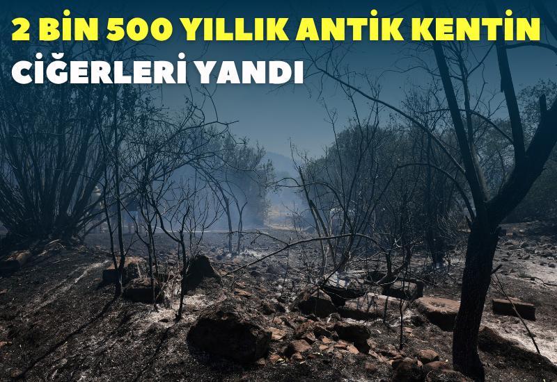 2 bin 500 yıllık antik kentin ciğerleri yandı