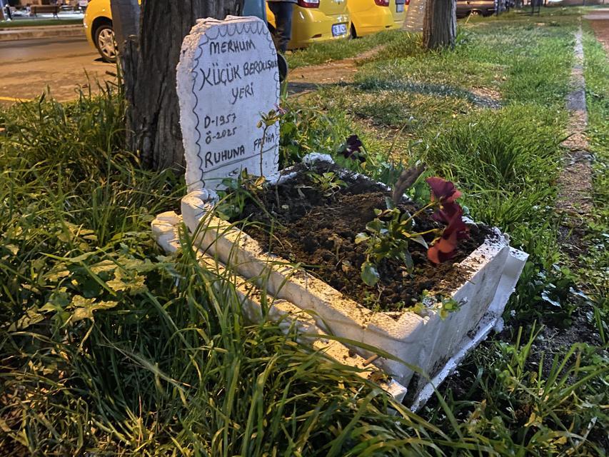 Ölen muhabbet kuşları için mezar yaptılar