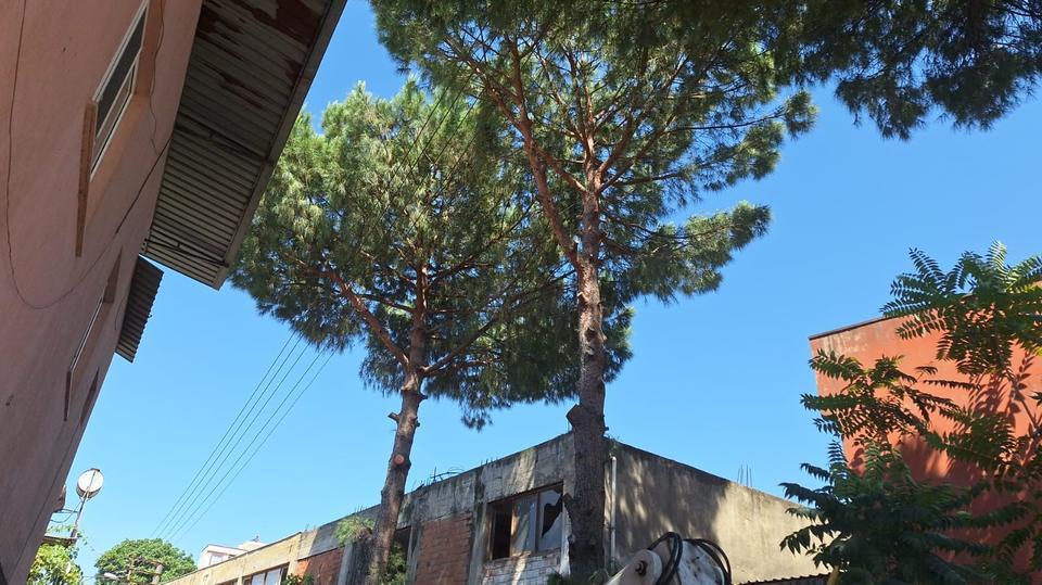 Efeler’de elektrik tellerine temas eden ağaçlar budandı