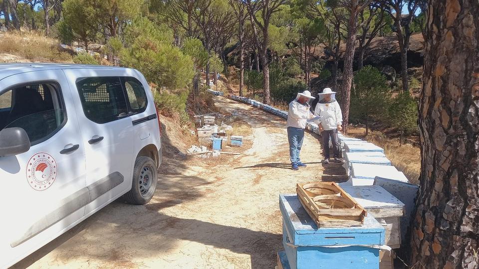 Bozdoğan’da arılı kovan desteği için sahada çalışma