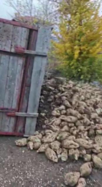 Pancar yüklü traktör römorku devrildi