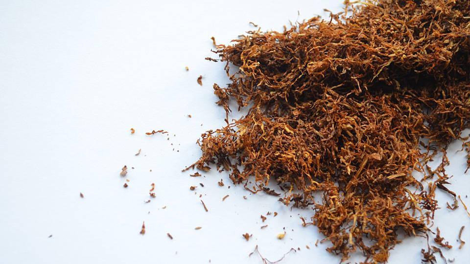 CAMEL Yellow 100 (Gram) Sarmalık Kıyılmış Tütün  140