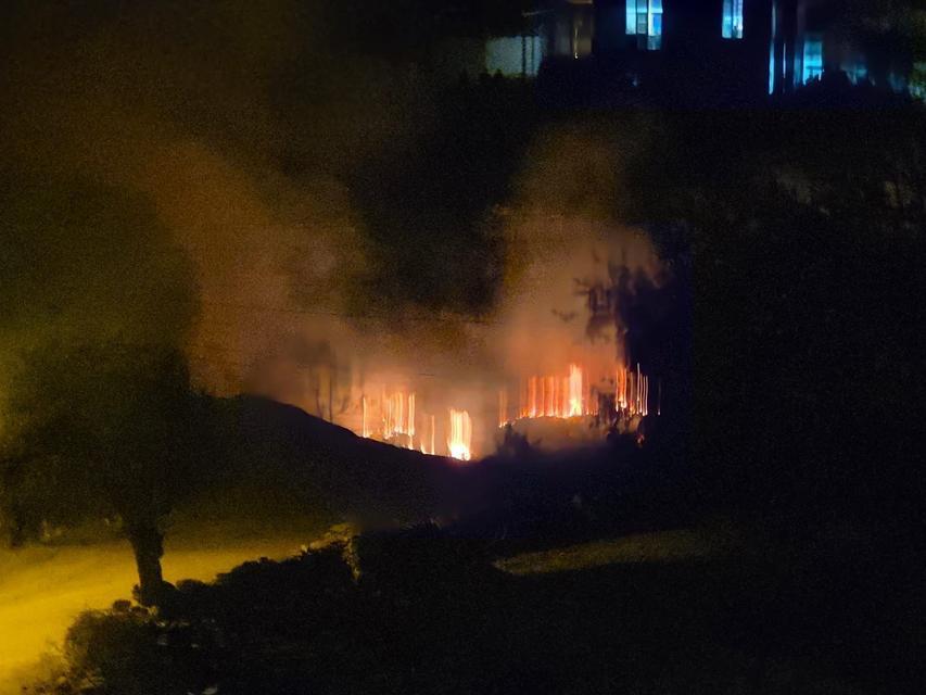 Milas'ta sazlık yangını