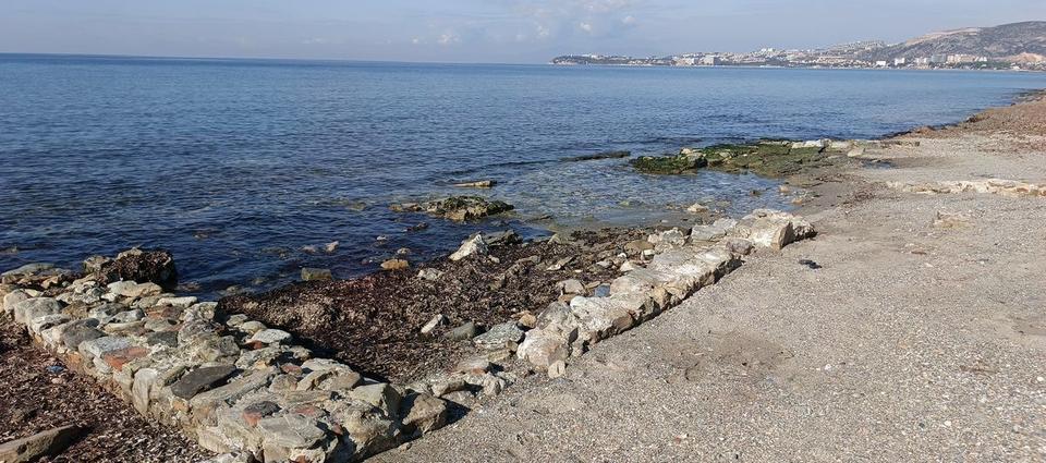 �������������������������������