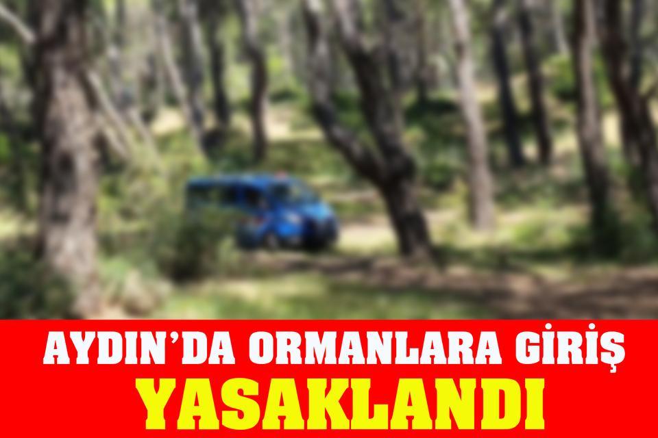Aydın’da ormanlara giriş yasaklandı