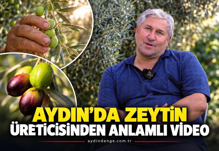 Aydın'da zeytin üreticisinden anlamlı video