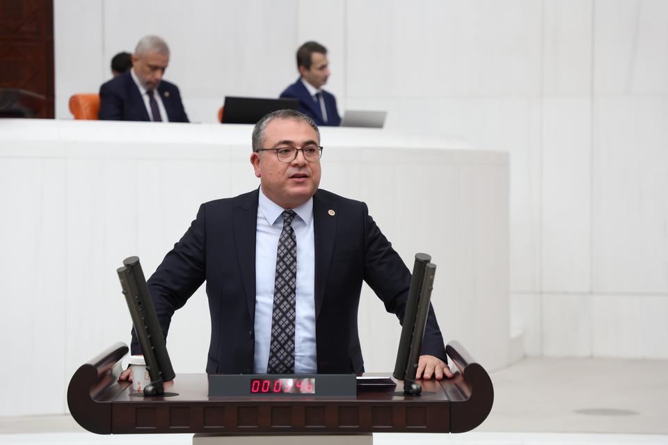 CHP Aydın Milletvekili Evrim Karakoz