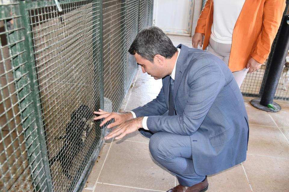 Didim'de hayvan barınağına denetim