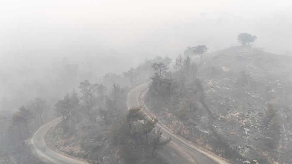 Çine'de yeşil vatan kül oldu! Dron görüntüleri yürek burktu