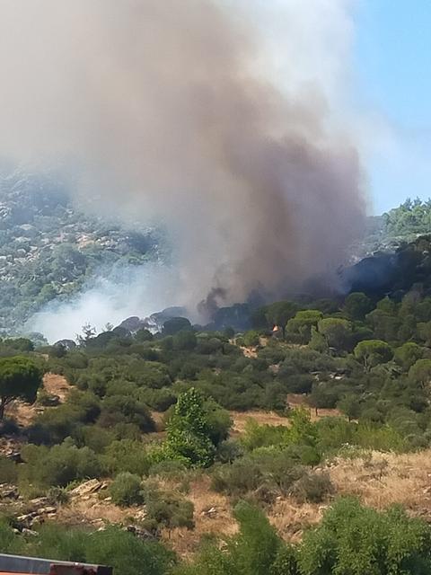 Muğla’da orman yangını