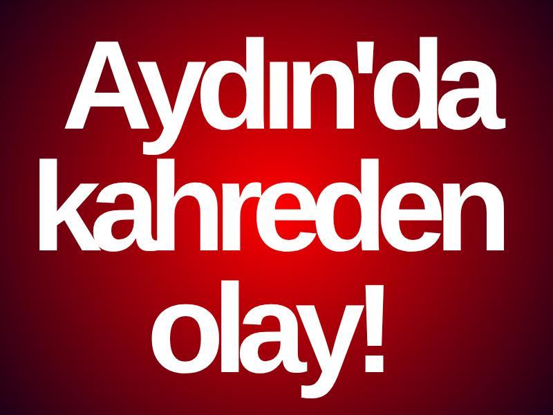 Aydın'da kahreden olay! 20 kovan yandı, binlerce arı telef oldu