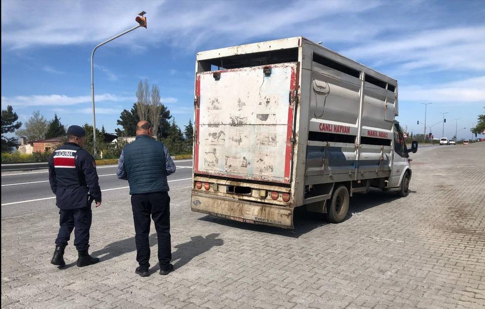 Aydın’da hayvan hırsızlıklarına karşı sıkı denetim