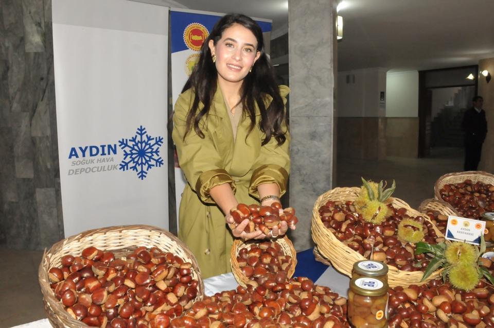 AYDIN'DA SEZONUN İLK KESTANESİ KİLOSU 550 TL'DEN ALINDI