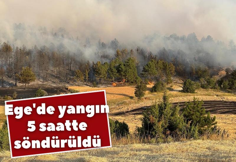 Ege'de yangın 5 saatte söndürüldü